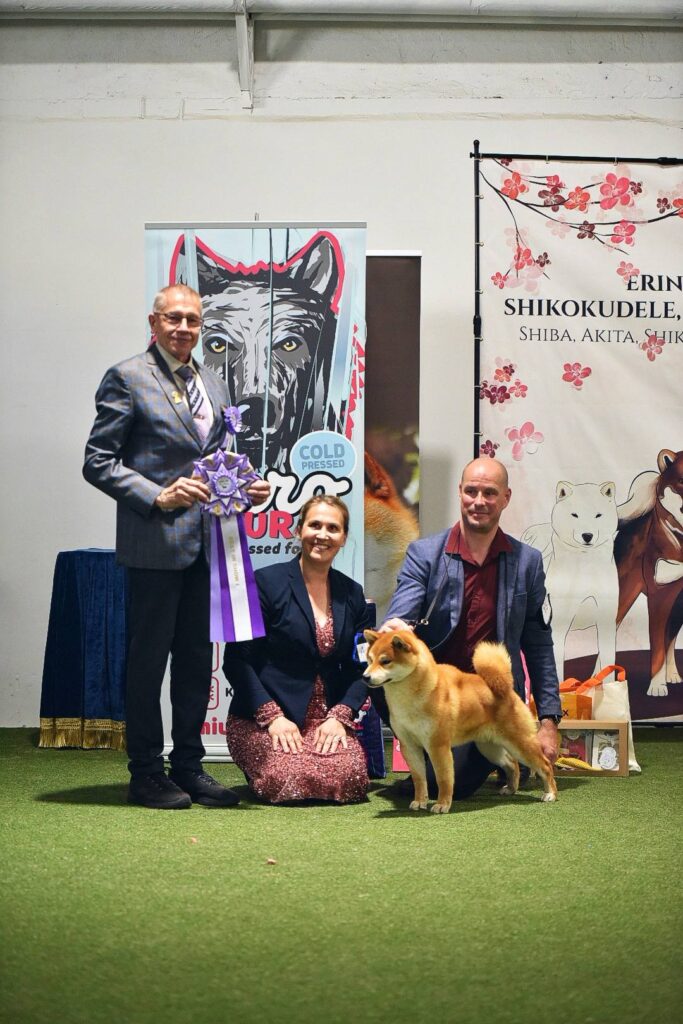 BEST IN SHOW WINNER